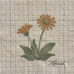 4月（ガーベラ）