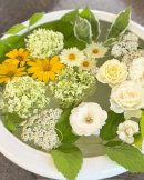 画像: 夏季休暇のお知らせです